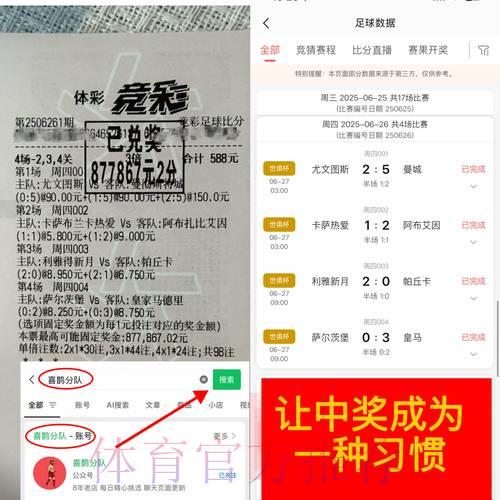 世界杯线上博彩为何受限?深度解析背后原因与影响 世界杯线上博彩为何受限?深度解析背后原因与影响
